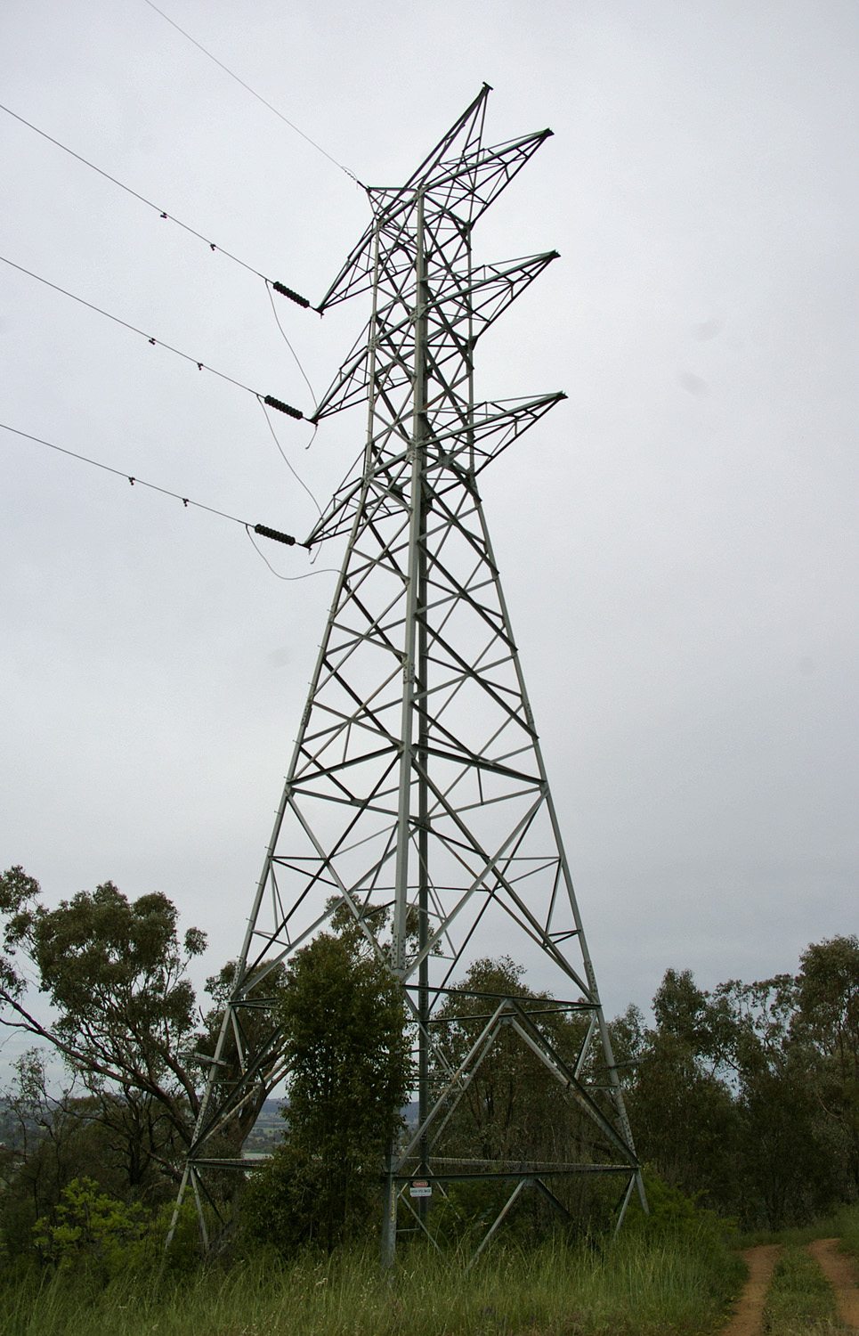 Monopoles — image 1